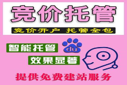 案例剖析：SEM竞价代运营助力品牌崛起